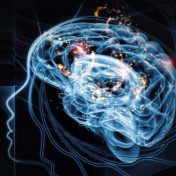 最新的令人不可相信的研究